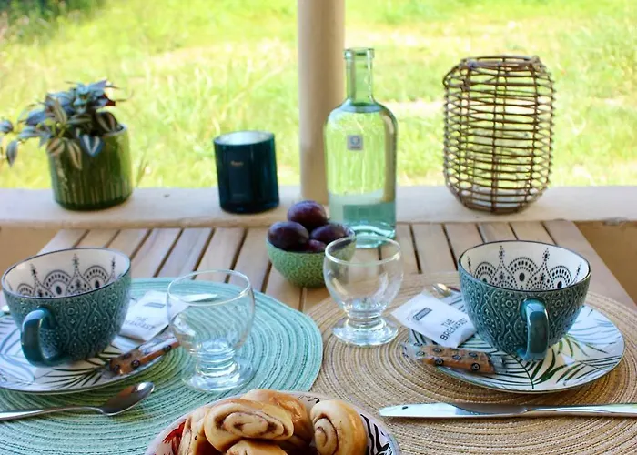 T1 Augustin Gradignan