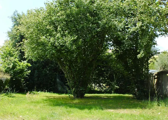 T1 Augustin Apartment