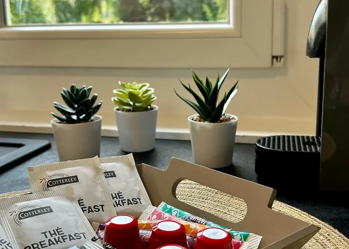 T1 Augustin * Gradignan